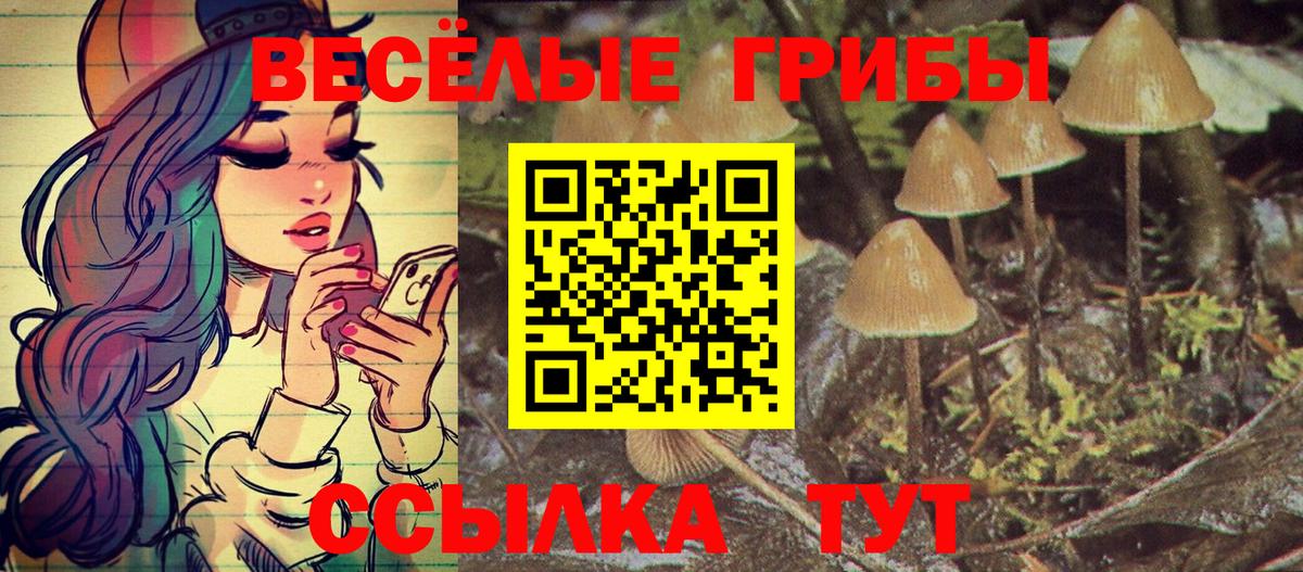 Томск  Галлюциногенные грибы мицелий  Вход с VPN 